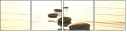 27492911