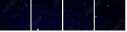 27649891