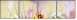 27880499