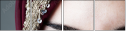 28130263