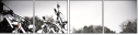28397920