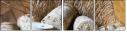 28670326
