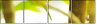 28835304
