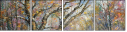 29134813