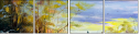 29135595