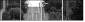 29227779