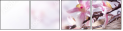 29266814