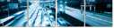 29361269