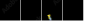 29381007