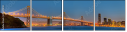 29390012