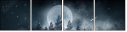 296503315
