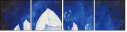 29661116