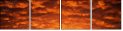 29892519