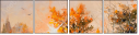 30277768