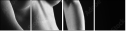 30291161