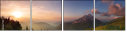 30337754