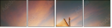 30473389