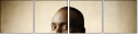 30516382