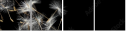 30521892