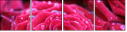 30650072