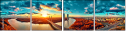 306790577