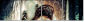 30785546