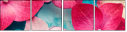 30909290