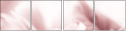31030439