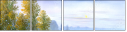 31191813