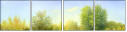 31192155