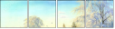31192361