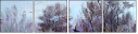 31220669