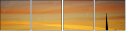 31269378