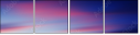 31651562