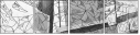 31753074