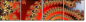 31935025