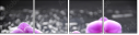 32225691