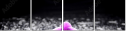 32250117