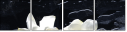 32251345