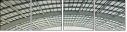 32419011