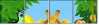 32460462