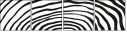 324703304