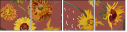 324724116