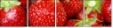 3269949
