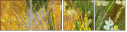 32753140