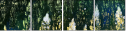 32753378