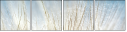 32821180