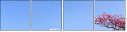32966670
