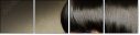 33249183