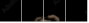 33360952
